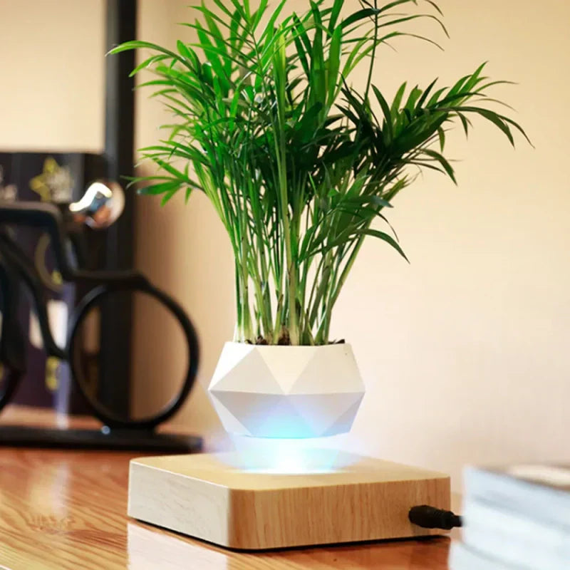 https://cdn.shopify.com/s/files/1/0965/8109/1655/files/c6892ac2-5882-40ec-ac98-e320fcc21f5b_a5ead157-216b-4bec-a13e-b1dcc2200b38.webp?v=1772119781