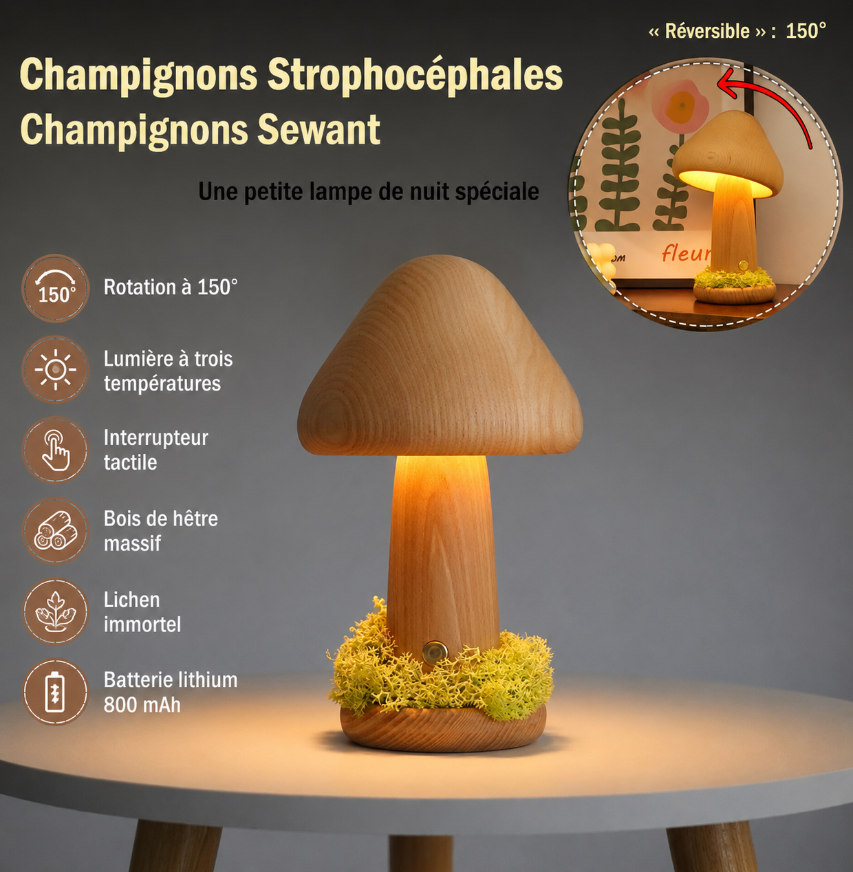 Lampe Champignon LED en Bois Massif – Rechargeable & Tête Orientable